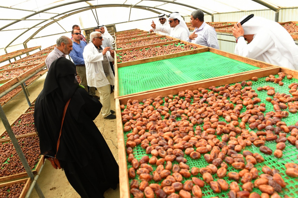 Officials and local farmers at a modal polycarbonate house for drying dates set up at Agricultural Research Center in Rawdat Al Faras run by the Ministry of Municipality and Environment.