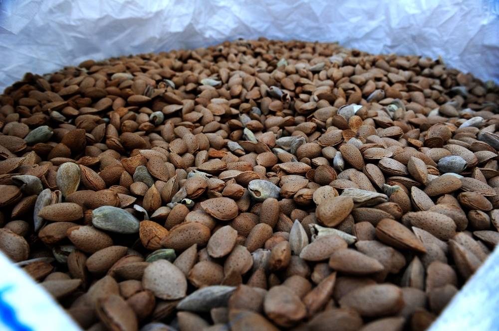 Almonds are stored in sacks in an almond processing factory, in Cordoba on August 29, 2018. AFP / CRISTINA QUICLER