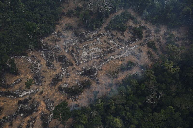 An aerial view of a deforested plot of the Amazon at the Bom Futuro National Forest in Porto Velho, Rondonia State, Brazil, September 3, 2015. (Reuters/Nacho Doce) 