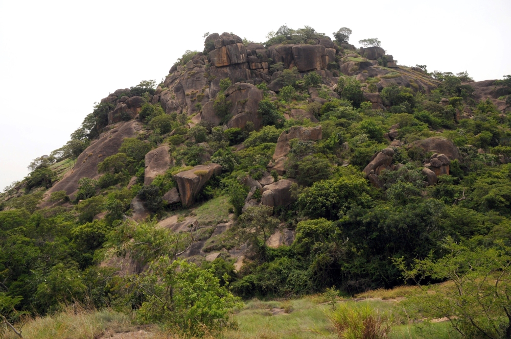 The Amurum Forest Reserve, where undulating rock formations surround a savannah dominated by lush and tall grass in Jos, Plateau State pictured on June 5, 2014. AFP