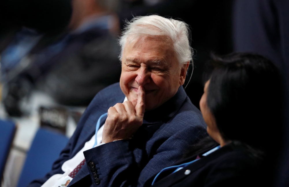 World renowned naturalist Sir David Attenborough attends the opening of COP24 UN Climate Change Conference 2018 in Katowice, Poland December 3, 2018. Reuters/Kacper Pempel
 