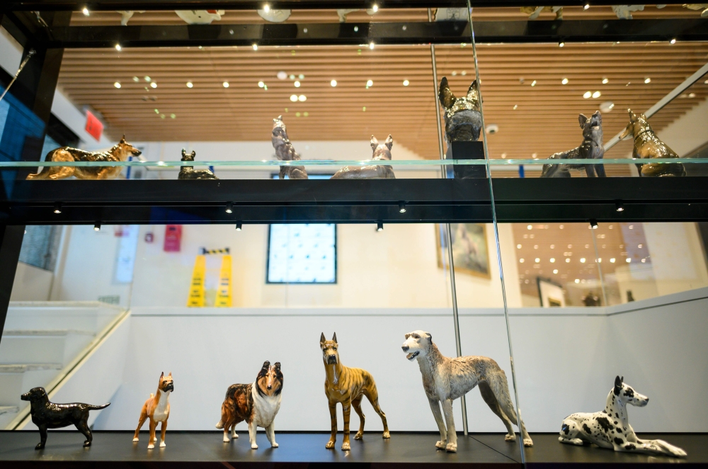 This picture taken on February 1, 2019 in New York City shows a display with dog figures at The American Kennel Club Museum of the Dog. AFP / Johannes EISELE 