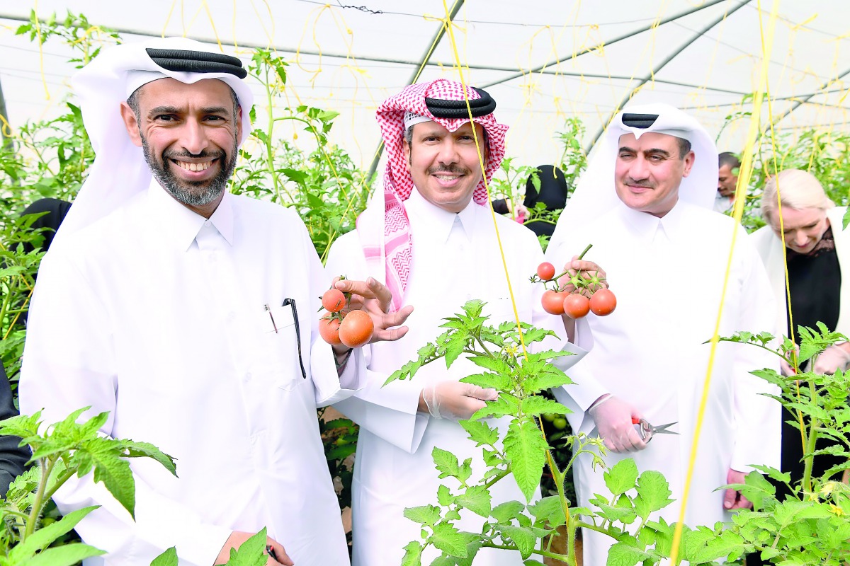 Dr Faleh bin Nasser Al Thani (left), Assistant Undersecretary for Agriculture Affairs & Fisheries Resources; Saleh AlMana (centre), Vice-President and Director of Public and Government Affairs at ExxonMobil Qatar; and Abdullatif Al Naemi, National Develop