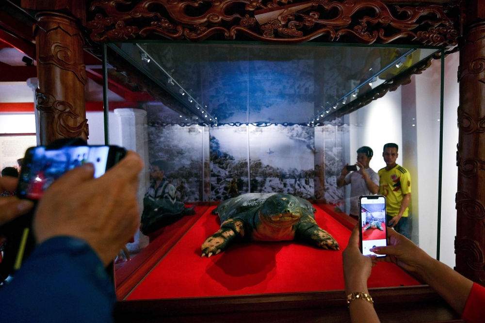 Tourists take pictures of an embalmed giant turtle displayed at Ngoc Son temple in Hanoi on March 21, 2019. AFP / Manan Vatsyayana 