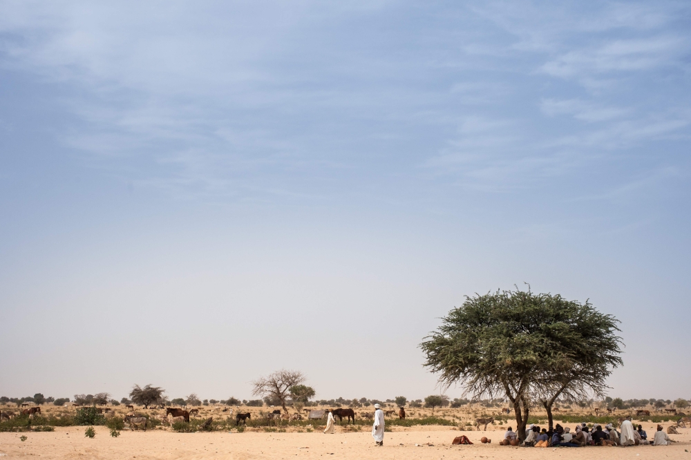 Farmers find a shelter under a mango tree to avoid the heat and the sun, on the road between Adre and Farchana, in the region of Ouaddaï, on March 25, 2019.  AFP / Amaury Hauchard 
 