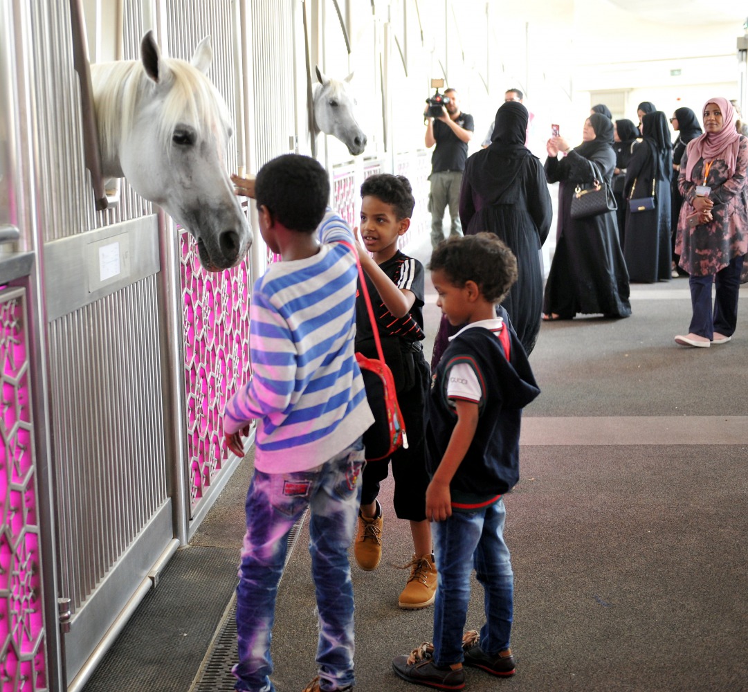 Children get a closer look at an Arabian horse at Al Shaqab, yesterday.  Pic: Salim Matramkot / The Peninsula