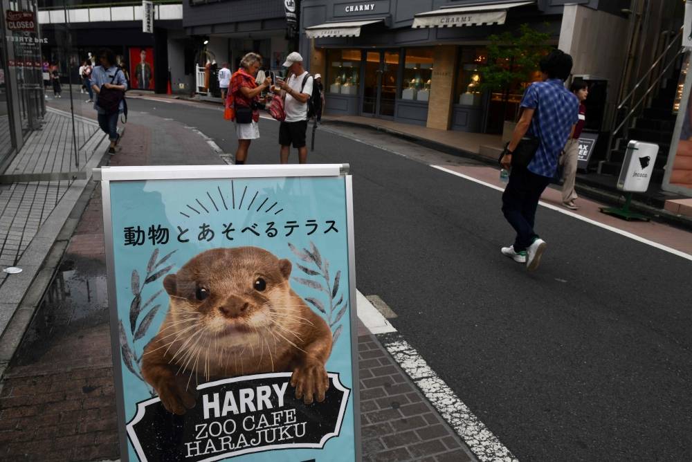 A promotional signboard for a pet cafe that features otters is displayed at the Harajuku district in Tokyo on August 21, 2019. AFP / Toshifumi Kitamura