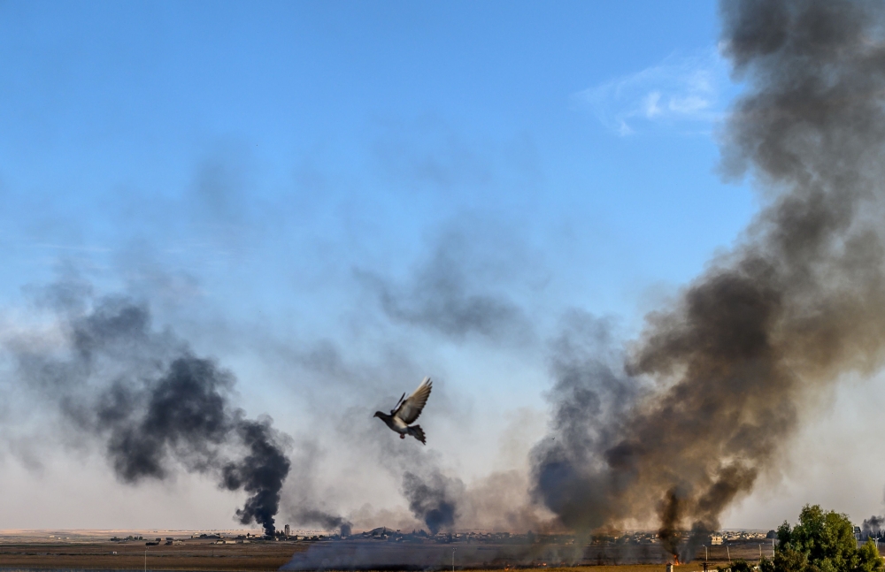 Smoke rises from the Syrian town of Tal Abyad, in a picture taken from the Turkish side of the border where a pigeon is seen in Akcakale on October 10, 2019, on the second day of Turkey's military operation against Kurdish forces.   AFP / BULENT KILIC
