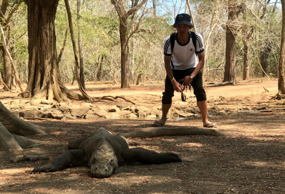 A tourist tries to get a photo of a Komodo dragon in Indonesia. About 1,300 of the creatures live on the Indonesian island of Komodo. Photo: Christoph Sator/dpa