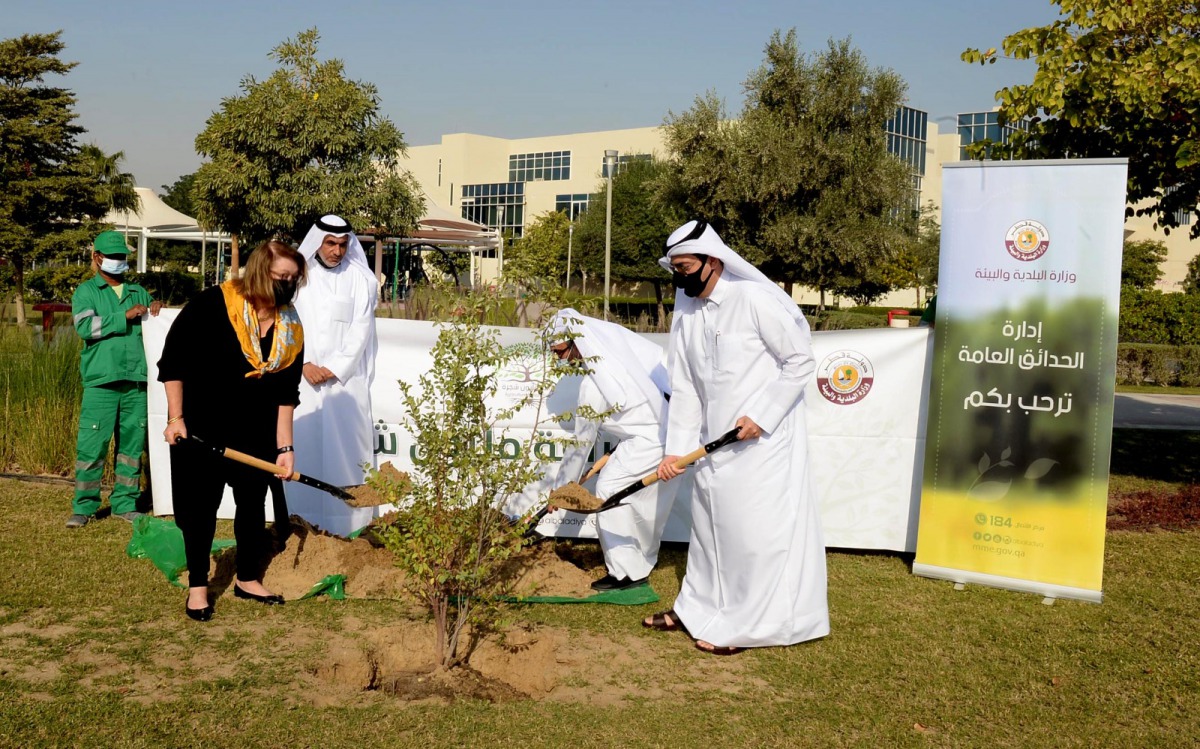 Chargé d’Affaires at the US Embassy in Doha, Ambassador H E Greta C Holtz, planting a tree in Legtaifiya Park, yesterday. 