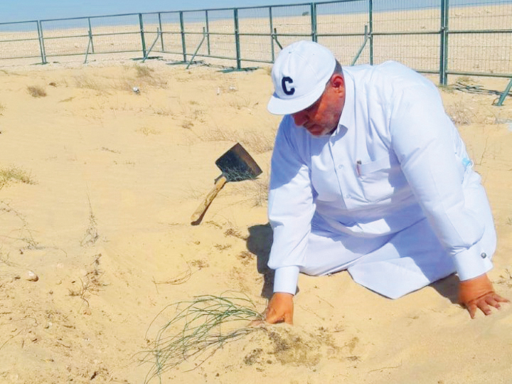 A worker plants rare wild trees at a protected site.  