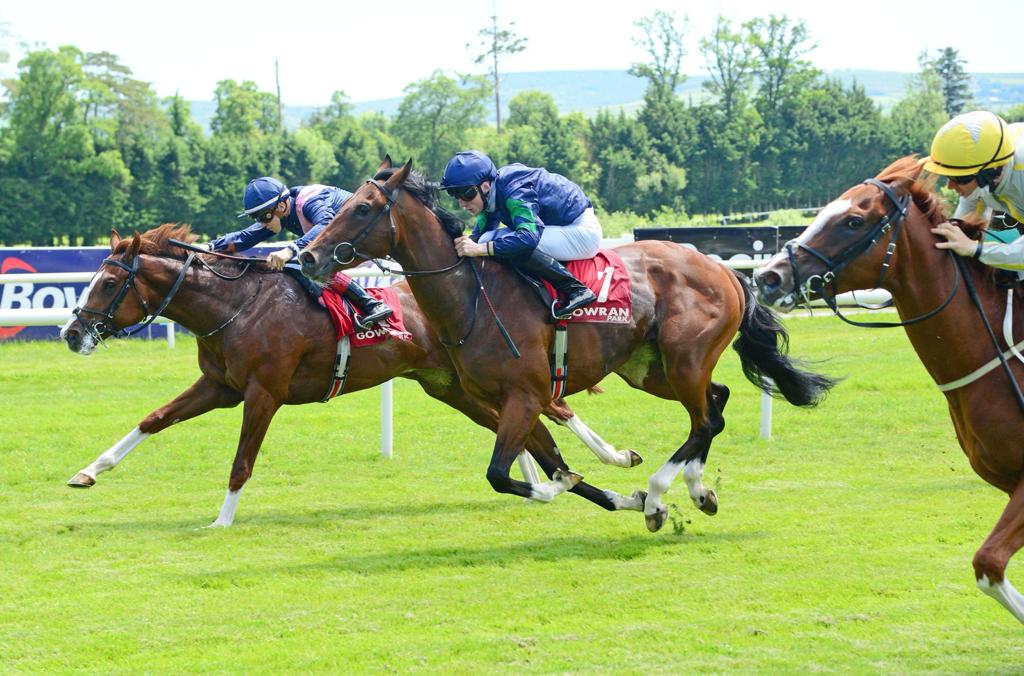 The Al Mamoura Partnership-owned colt in action yesterday 