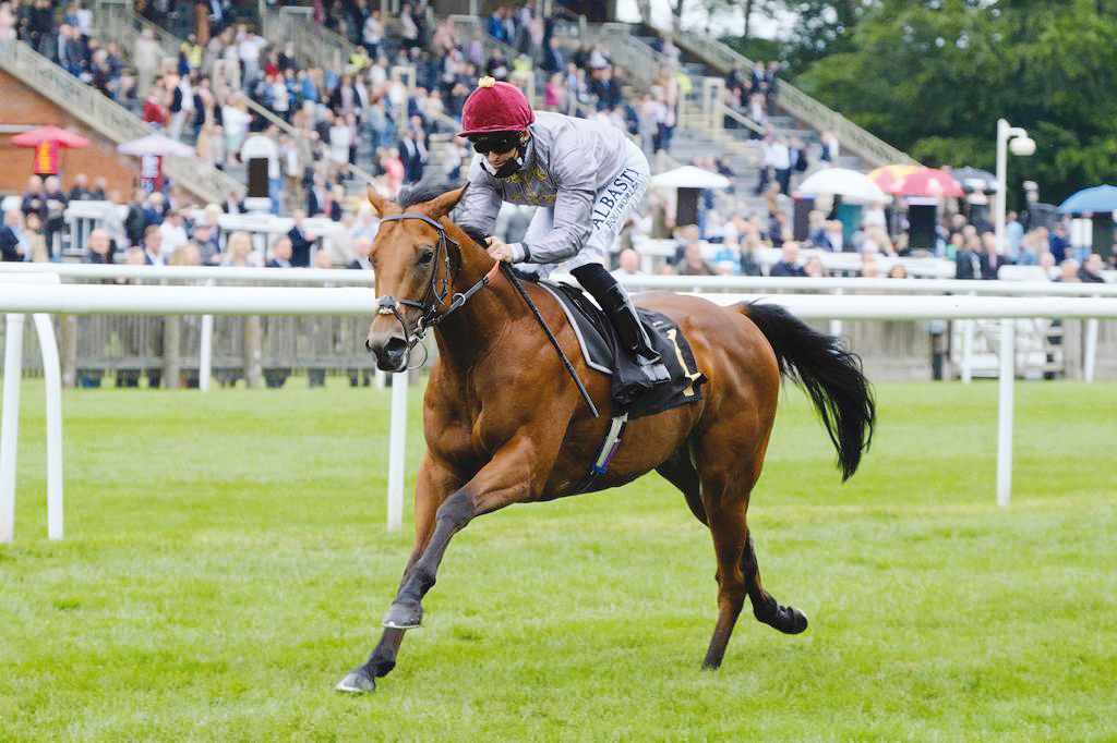 Lusail, helmed by Jockey Pat Dobbs, in action yesterday.