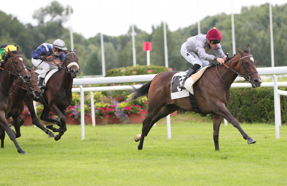 Al Shaqab Racing’s Al Wakrah in action yesterday.