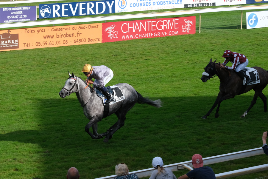 Gary Sanchez rides Almafjar to win the Prix Arca – Wathba Stallions Cup at La Teste de Buch on Sunday. Pic: ROBERT POLIN