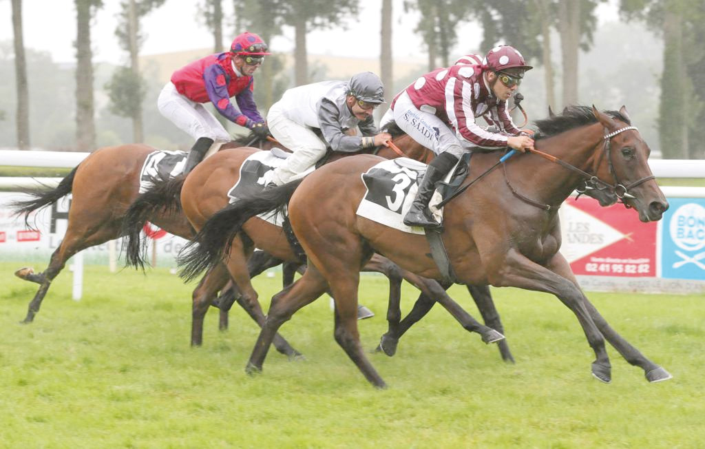 Jockey Soufiane Saadi rides Joomana to win the Prix Chateauneuf sur Sarthe at Le Lion d’Angers, France yesterday.