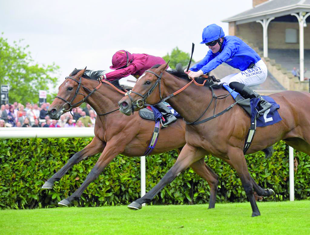 Cieren Fallon guides Suspicious to victory. Pic: Racingfotos