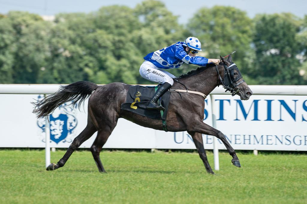 Konrad Mazur guides Osama Omer Al Dafea's Bayareq to victory at Stuzewiec Racecourse in Poland.