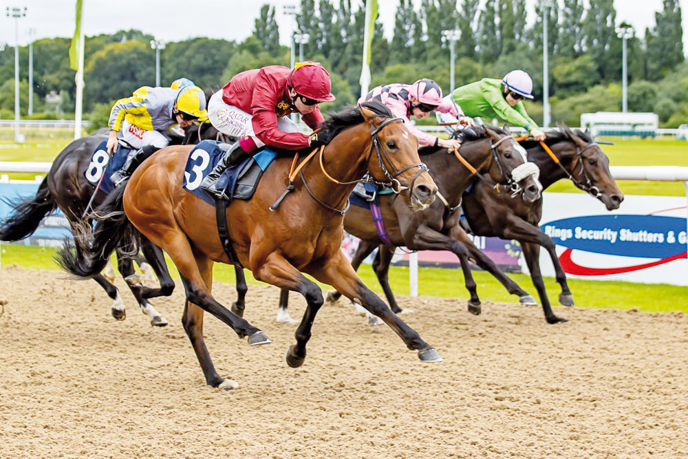 Battle Of The Nile on his way to victory. Pic: Jonathon Hipkiss