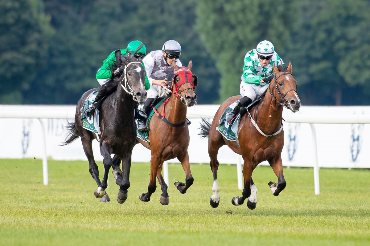 The Sheikh Faisal Hamad Jassim Al Thani-owned Al Faisal (Al Albahar x Sakina De Faust) toughed out a narrow success in the Emaela Stakes (Group 1 Wathba Stallions Cup) at Sluzewiec Racecourse in Poland on Sunday. 