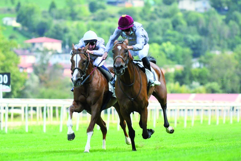 Alexandre Gavilan guides Cephale de Ghazal to win at San Sebastian Racetrack in Lasarte-Oria, Spain. Pic: Hipódromo San Sebastián