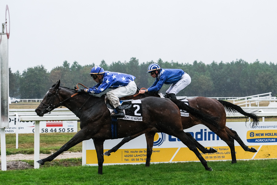 Jockey Alejandro Gutirrez-Val astride H H Sheikh Mohammed bin Khalifa Al Thani's Gavial on their way to win the Prix Du Gabardan at Mont-De-Marsan in France yesterday. Pic: Laurent Ferriere