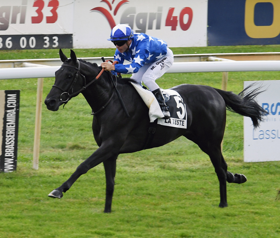 Jockey Maxime Guyon guiding Hargan to victory at La Teste De Buch, France, yesterday. Pic: Robert POLIN