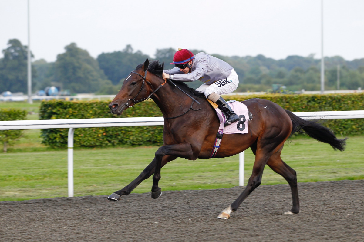 Richard Kingscote guides Al Shaqab Racing-owned two-year-old colt Migdam towards the finish line at Kempton. Pic: Steve Davies