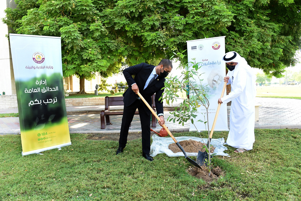 Ambassador of Haiti H E Jean Marie Francois Guillaume (left), planting a tree at an event organised by the Ministry of Municipality. 