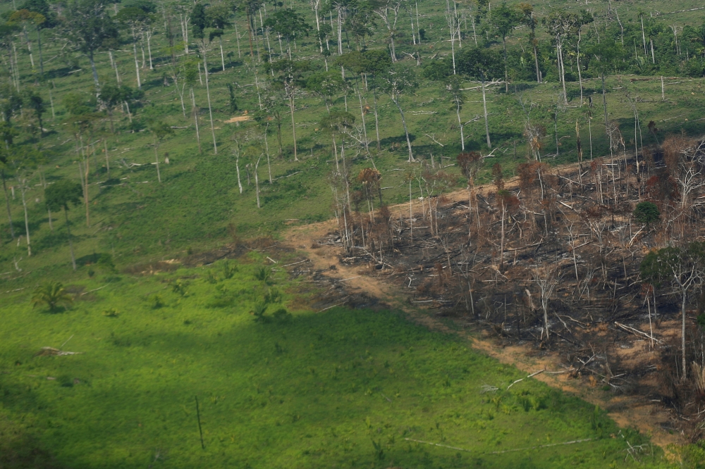 File photo of a deforested part of Amazon 