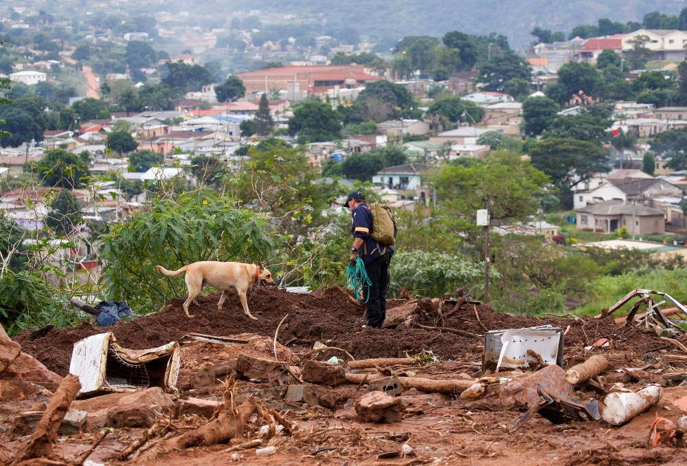 A search and rescue team member uses a dog to search for bodies in Dassenhoek near Durban, South Africa, April 17, 2022. REUTERS/Rogan Ward