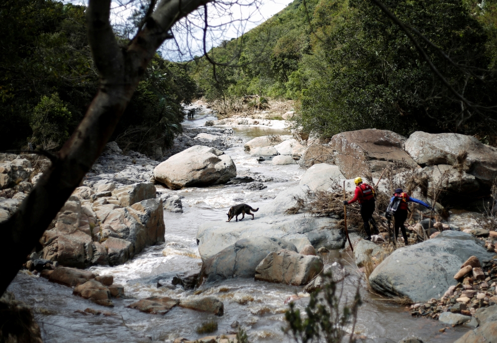 Rescue teams use tracking dogs to search for bodies after heavy rains caused flooding in Umbumbulu near Durban, South Africa, April 18, 2022. Reuters/Rogan Ward