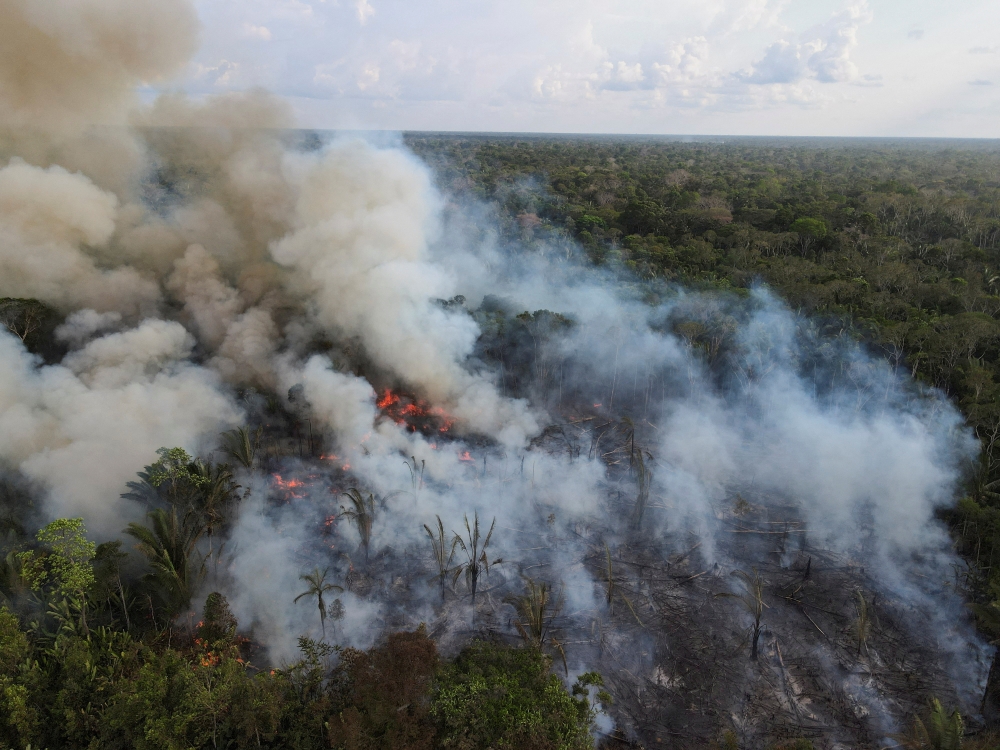 Billows of smoke rise over a deforested plot of the Amazon jungle next to the Transamazonica national highway, in Labrea, Amazonas state, Brazil, September 1, 2021. Picture taken September 1, 2021 with a drone. REUTERS/Bruno Kelly/File Photo