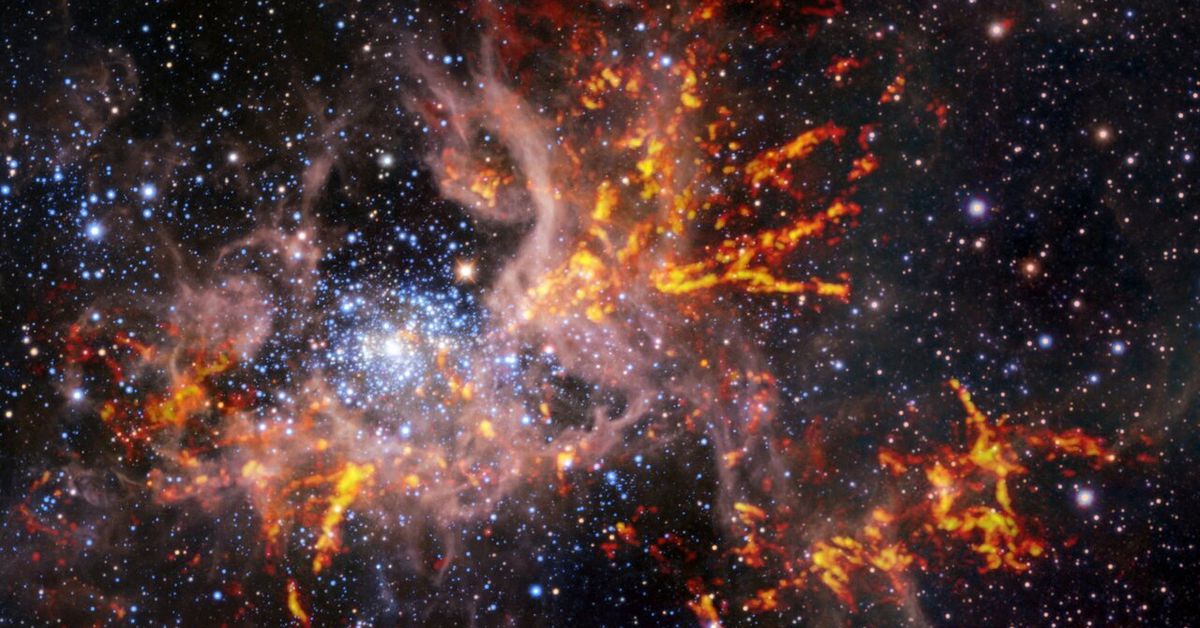 A composite image shows the star-forming region called 30 Doradus, also known as the Tarantula Nebula in this undated handout picture. Handout via Reuters