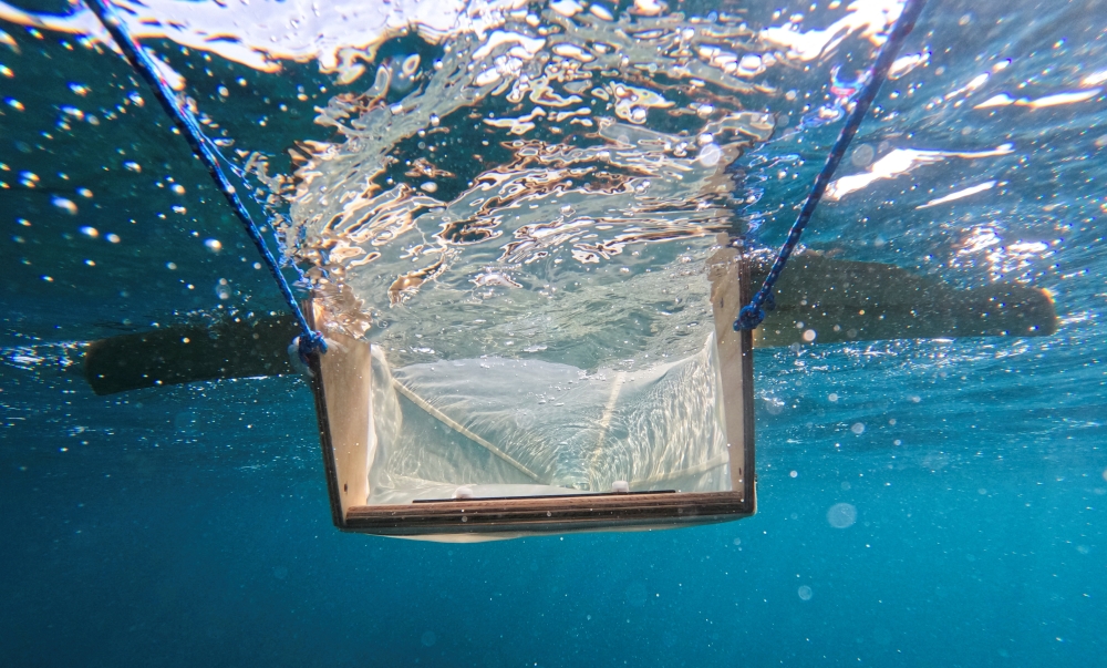 A crawl net is dragged by volunteers rowing a kayak during a research project 