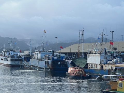 Chinese flagged fishing boats unload tuna at Princess Wharf in Suva, Fiji July 16, 2022. REUTERS/Kirsty Needham