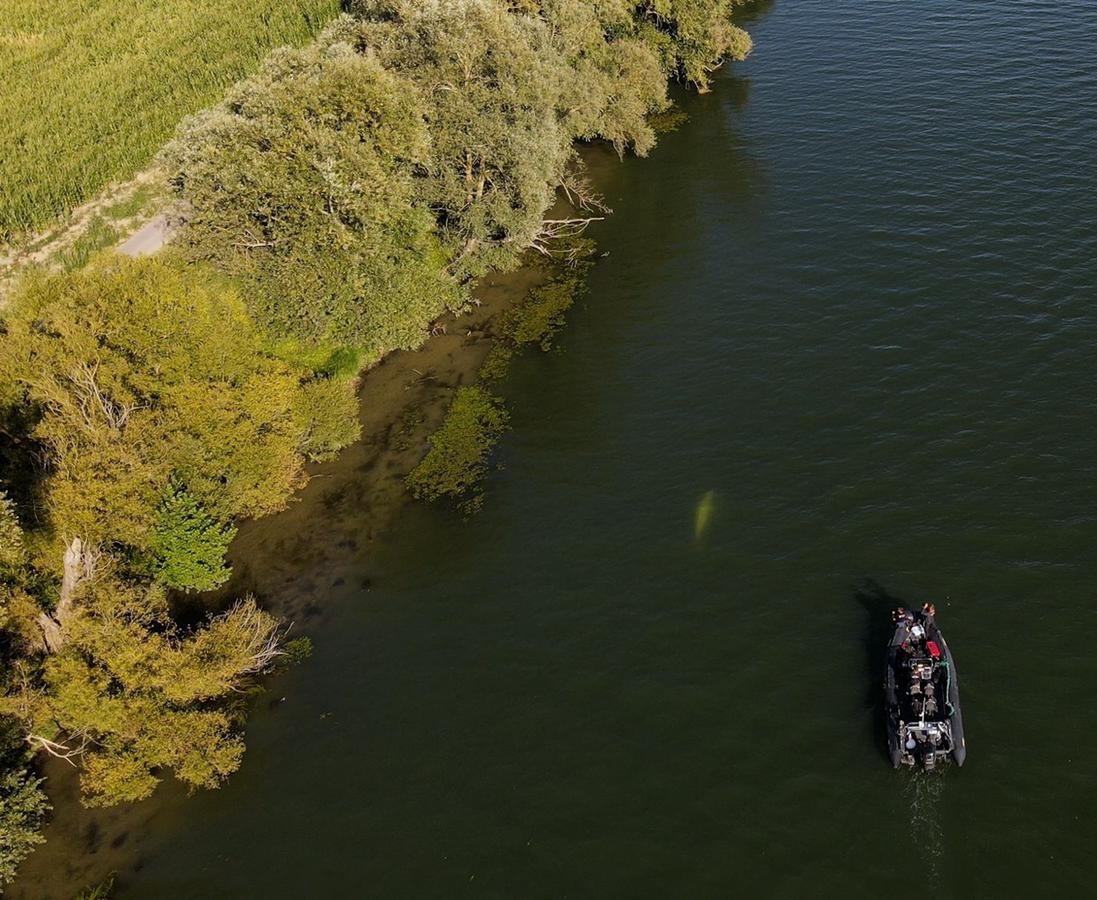 Picture shared by Marine conservation group Sea Shepherd France on their Twitter account 