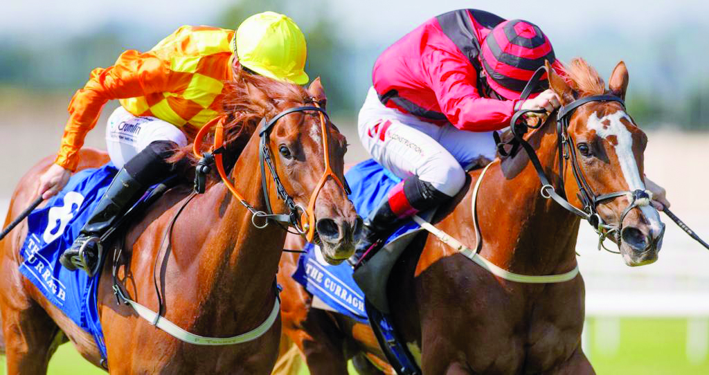 Mauiewowie wins Qatar Racing And Equestrian Club Curragh Stakes. 