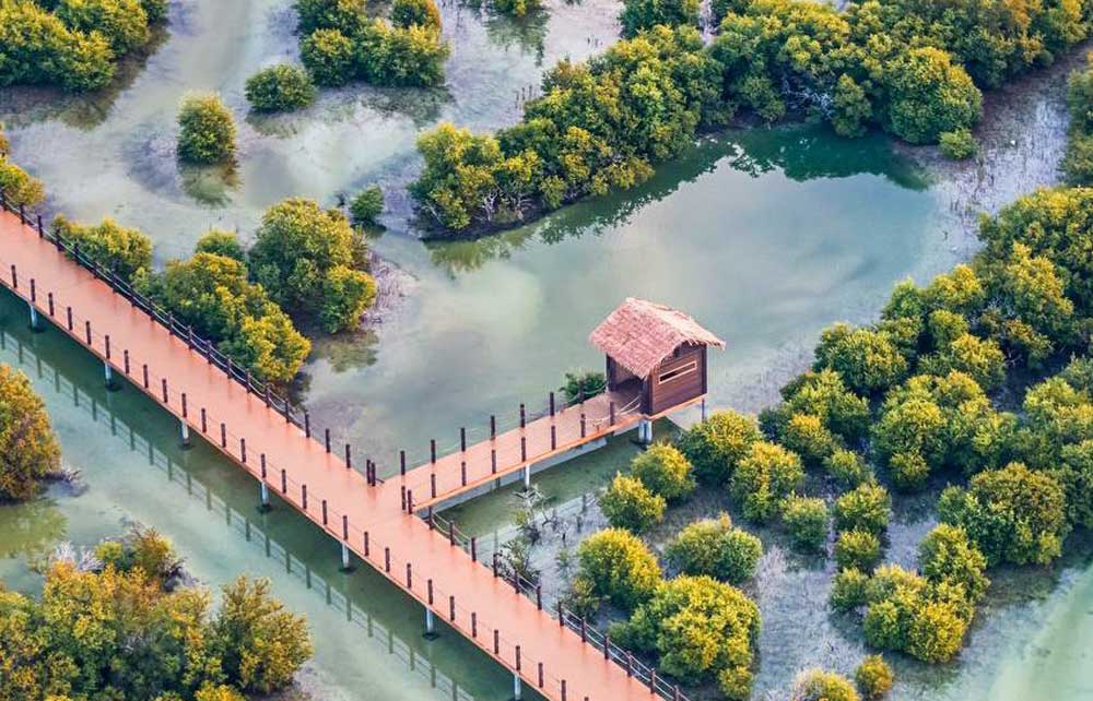 Al Thakira mangroves. Source: Twitter/@almayassahamad