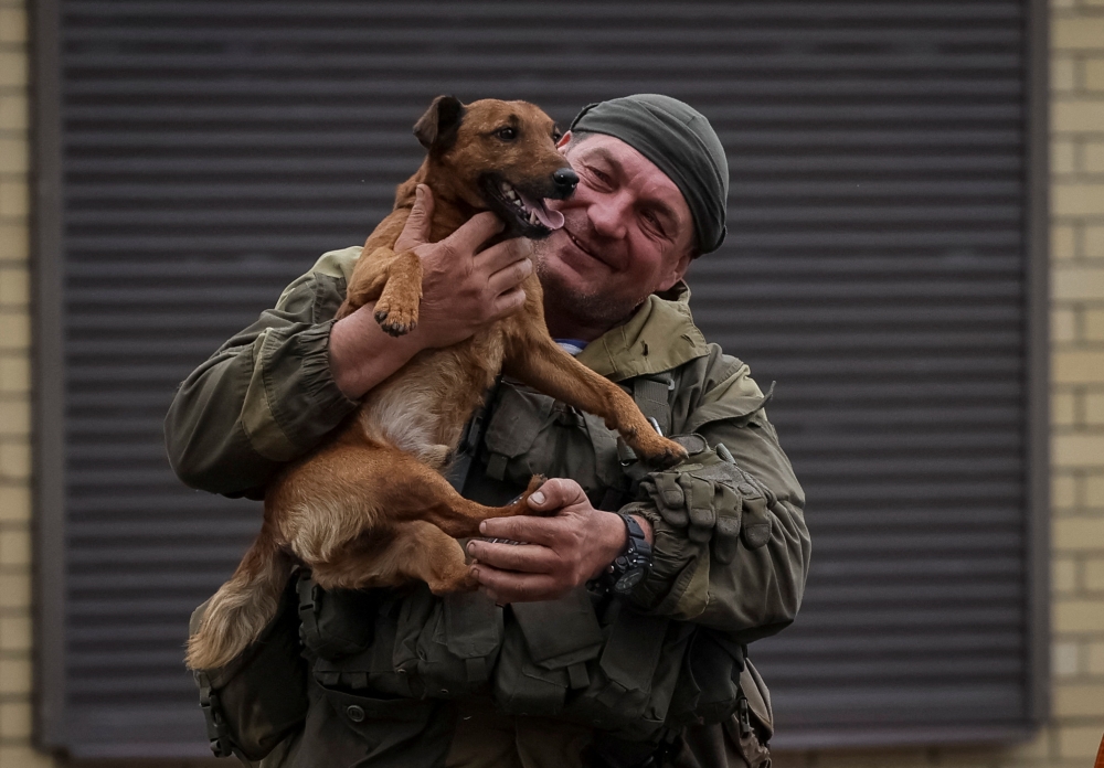 A Ukrainian serviceman pets a dog in the town of Zolochiv, Kharkiv region, Ukraine, on September 12, 2022. (REUTERS/Gleb Garanich)