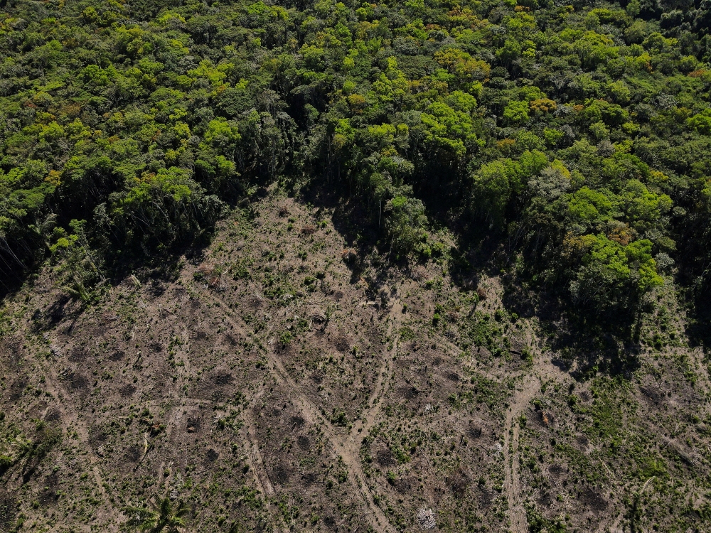 An aerial view shows a deforested plot of the Amazon rainforest in Manaus, Amazonas State, Brazil, on July 8, 2022. (REUTERS/Bruno Kelly)