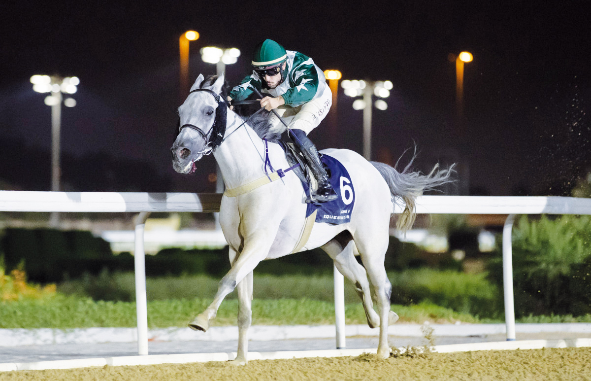 Marco Casamento and Texas teamed up to win Asherij Cup title last year.  