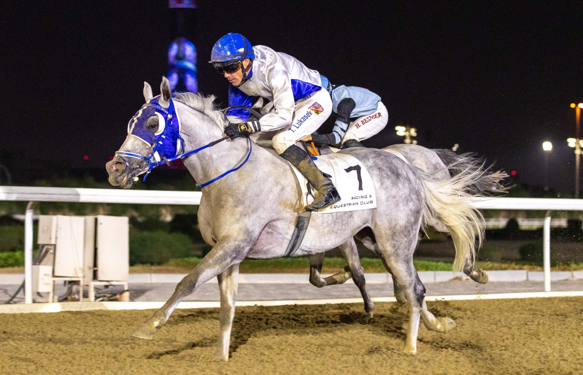 Jockey Tomas Lukasek guides Harab Al Naif to Asherij Cup win. Pics: Juhaim/QREC