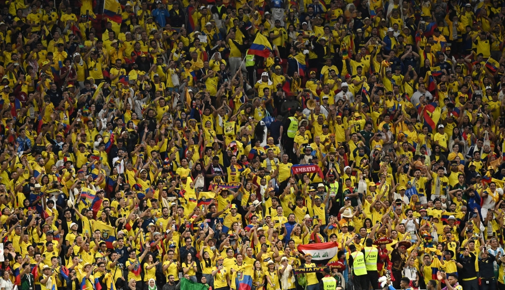 Ecuador fans celebrate after Qatar-Ecuador match on November 20, 2022. (REUTERS/Dylan Martinez)