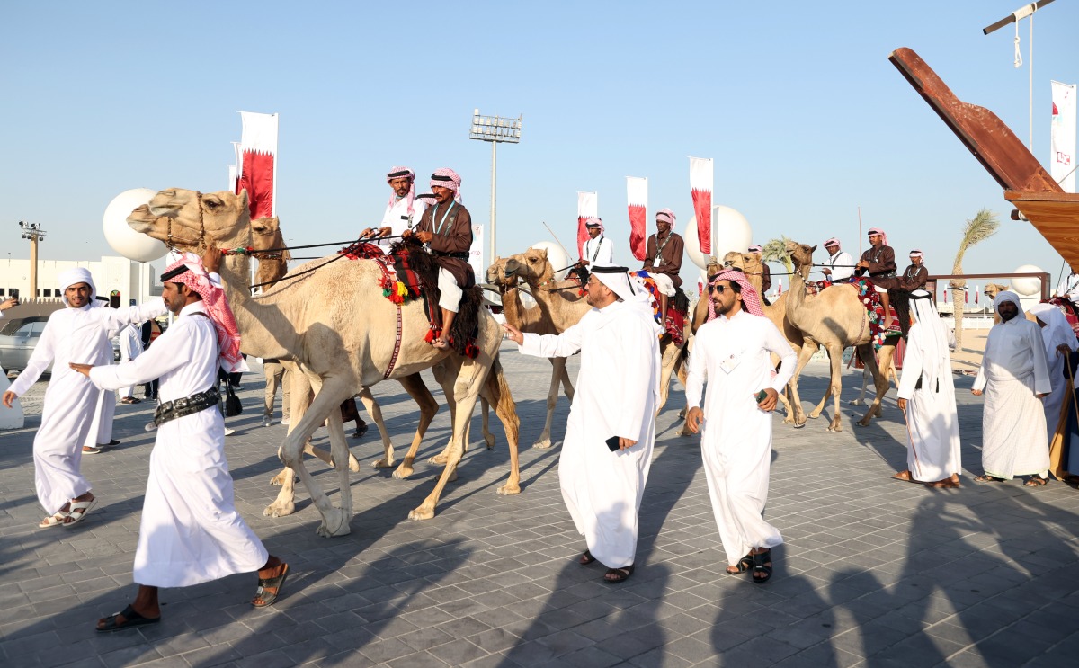 A participating team rides camels during the launch of Qatar National Day activities at Darb Al Saai yesterday. PIC: Mohamed Elshaer