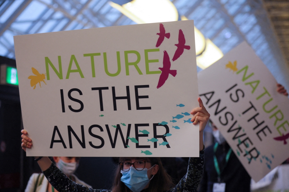 Members of WWF protest during COP15, the two-week UN Biodiversity summit, in Montreal, Quebec, Canada, on December 7, 2022. REUTERS/Christinne Muschi/File Photo