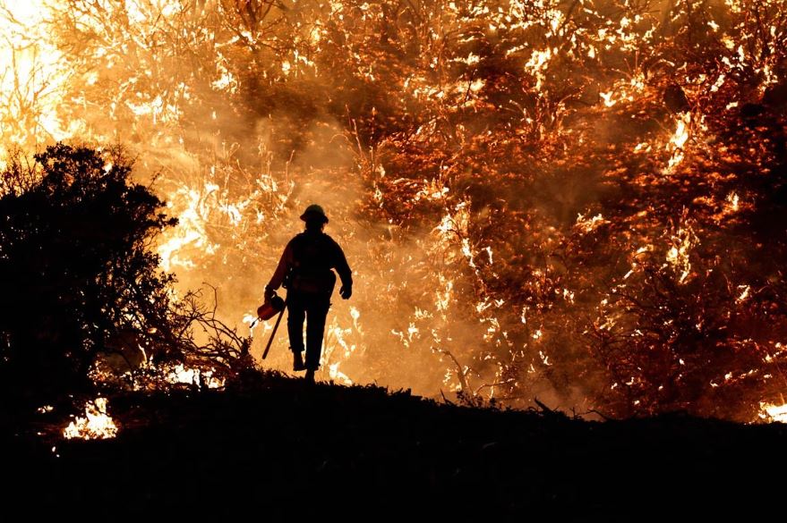 A firefighter works as the Caldor Fire burns in Grizzly Flats, California, US, August 22, 2021. (REUTERS/Fred Greaves)