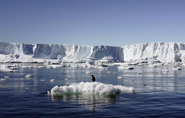 An Adelie penguin stands atop a block of melting ice near the French station at Dumont dÃ­Urville in East Antarctica in this January 23, 2010 file photo. (REUTERS/Pauline Askin)