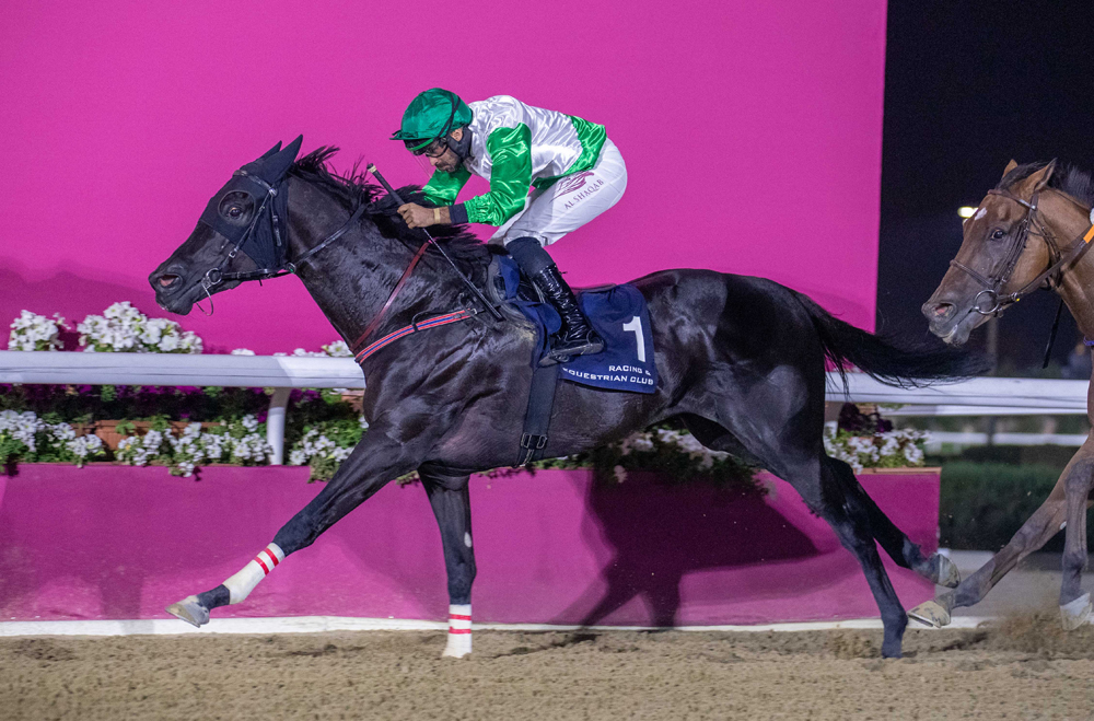 Doghan under Faleh Bughanaim in action at Al Rayyan Racecourse yesterday. PIC: Juhaim/QREC