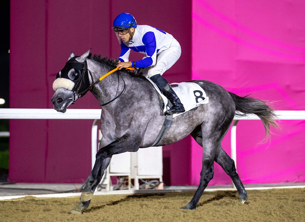 Soufiane Saadi astride Tajamhor during the feature at  Al Rayyan Racecourse on Wednesday night.
PIC: Juhaim/QREC